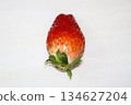 Fresh, juicy, sweet red strawberries. 134627204