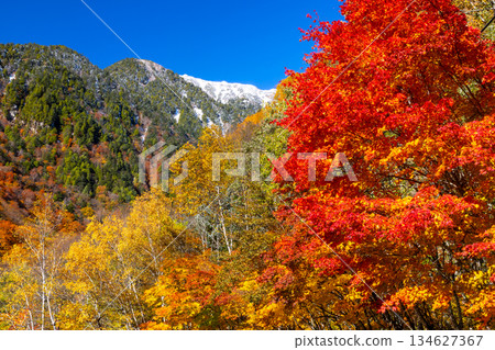 從長野縣大町市高瀨谷七倉山莊前的停車場可以欣賞到秋葉和白雪皚皚的山脊。 134627367