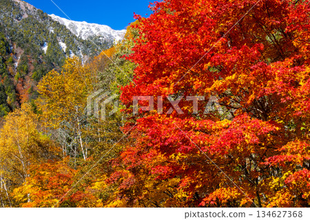 View of autumn leaves and snow-capped ridges from the parking lot in front of Nanakura Sanso in Takase Valley, Omachi City, Nagano Prefecture View of autumn leaves and snow-capped ridges from the parking lot in front of Nanakura Sanso in Takase Valley, Omachi City, Nagano Prefecture 134627368