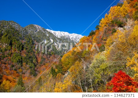 View of autumn leaves and snow-capped ridges from the parking lot in front of Nanakura Sanso in Takase Valley, Omachi City, Nagano Prefecture 134627371