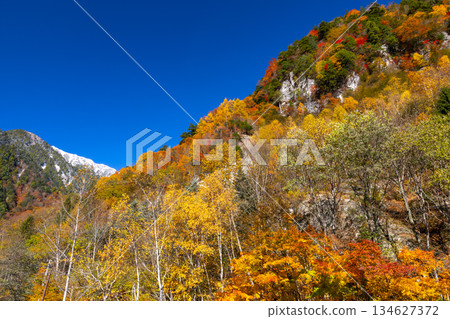 從長野縣大町市高瀨谷七倉山莊前的停車場可以欣賞到秋葉和白雪皚皚的山脊。 134627372