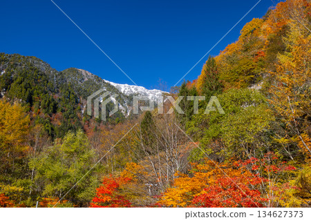 從長野縣大町市高瀨谷七倉山莊前的停車場可以欣賞到秋葉和白雪皚皚的山脊。 134627373