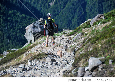 [Mountain Scenery] Hikers with dogs near Kurobe Goro Lodge, Northern Alps, Toyama Prefecture (2012) 134627679