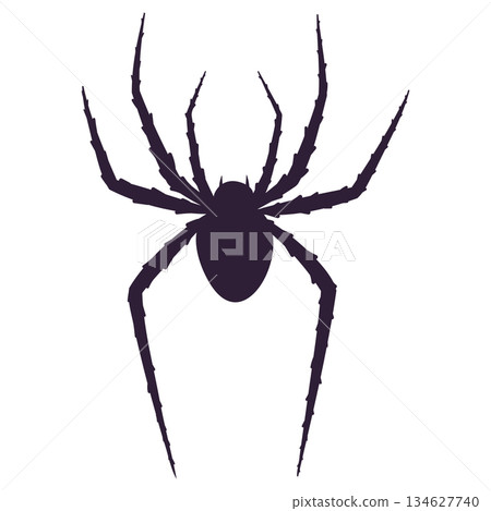 spider black silhouette spider black silhouette 134627740