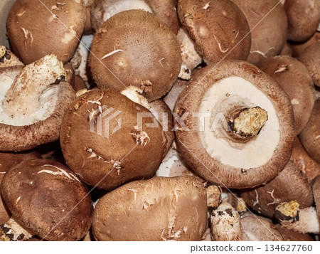 Fresh shiitake mushroom close up as background. Top view. Fresh shiitake mushroom close up as background. Top view. 134627760