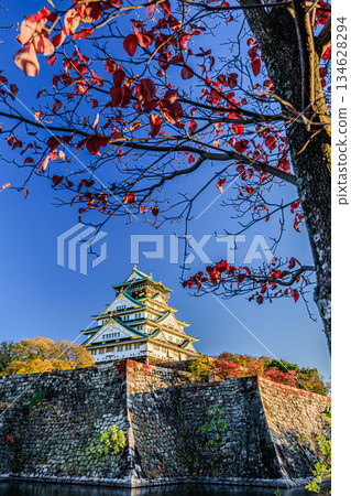 Osaka Castle in autumn: A famous castle landscape colored by stone walls and autumn leaves 134628294