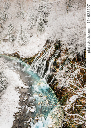 白須瀑布傾瀉而下，匯入白雪皚皚的景色中。 134628297