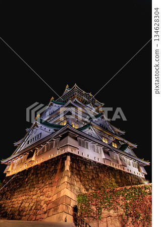 低角度拍攝的大阪城絕美夜景 134628304