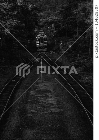 JR Hakodate Main Line train and branching tracks surrounded by deep greenery 134628307