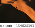 Silhouette on a Desert Dune at Sunset 134628393