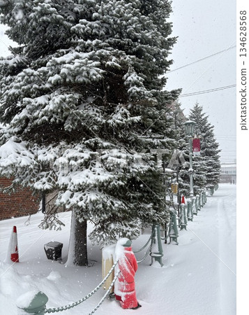 Snow on the roadside trees 134628568