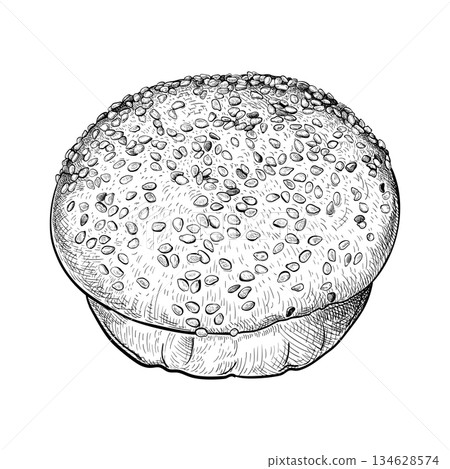Hamburger bun sketch 1 Hamburger bun sketch 1 134628574