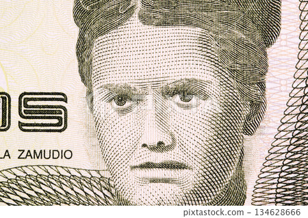 Adela Zamudio a closeup portrait from Bolivian money Adela Zamudio a closeup portrait from Bolivian money 134628666