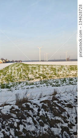 Snow covered agricultural field with green crops and wind turbines standing in the distance under a clear winter sky. The image represents renewable energy, sustainable agriculture, and harmony Snow covered agricultural field with green crops and wind turbines standing in the distance under a clear winter sky. The image represents renewable energy, sustainable agriculture, and harmony 134628728