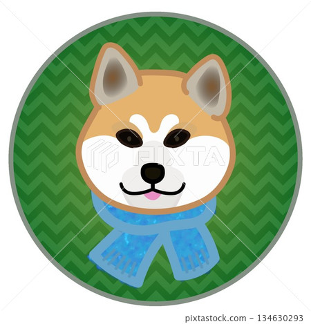 一隻戴著圍巾的狗的臉部插圖,背景是圓形的。 一隻戴著圍巾的狗的臉部插圖,背景是圓形的。 134630293
