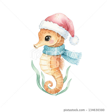 Cute watercolor seahorse wearing pink Santa hat and blue scarf. Hand drawn winter holiday marine animal illustration isolated on white background. 134630380