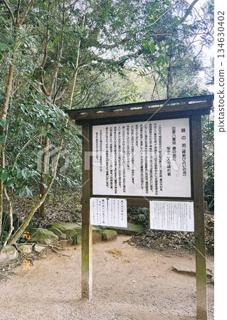 Scenery in the forest 134630402