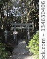A torii gate quietly appears in the forest 134630406