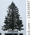 Hakodate Port Christmas Tree 134630997