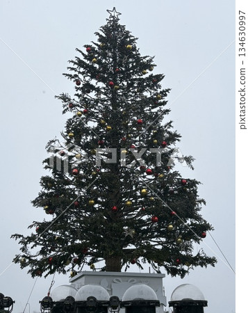 Hakodate Port Christmas Tree 134630997