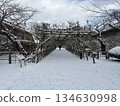 Snowy Goryokaku Park and winter enclosures 134630998