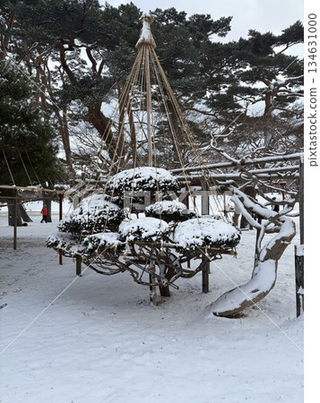 Winter enclosure trees 134631000