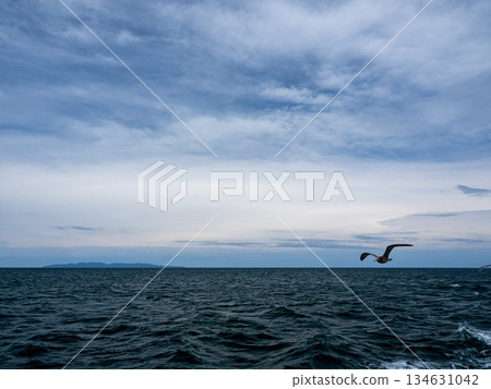Sasagawa Nagare in late summer as seen from a sightseeing boat, Murakami, Niigata 134631042