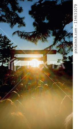 在早晨太陽採取的神道聖地 134631079