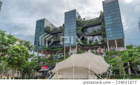 Hong Lim Park timelapse hyperlapse covered by some bushes and a large trees with terraced gardens on a background 134631877