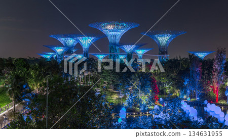 Futuristic view of amazing illumination at Garden by the Bay night timelapse in Singapore. Futuristic view of amazing illumination at Garden by the Bay night timelapse in Singapore. 134631955