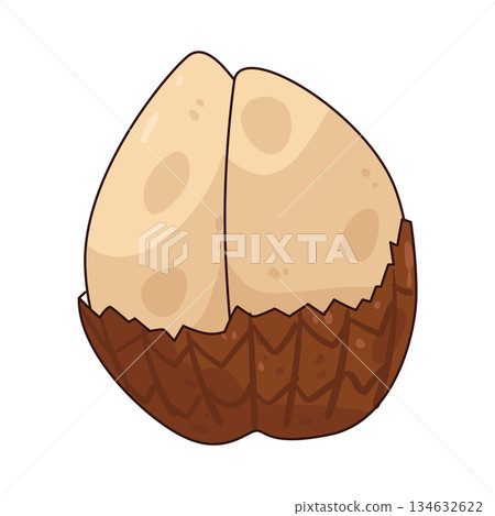 illustration of Snake Fruit 134632622