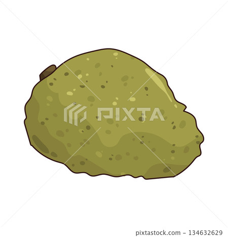 illustration of Wild Soursop 134632629