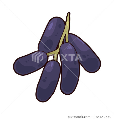 illustration of Moon Grape 134632650