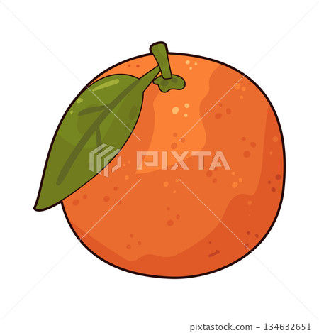 illustration of Sweet Orange illustration of Sweet Orange 134632651