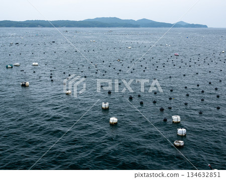 三重縣志摩海岸的夏末景色 134632851