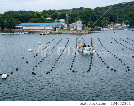 Late summer on the Shima coast, Mie Prefecture Late summer on the Shima coast, Mie Prefecture 134632861