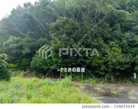 The approach to the shrine surrounded by fresh greenery, Ise-Shima, Mie Prefecture 134633034