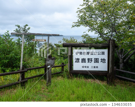 The approach to the shrine surrounded by fresh greenery, Ise-Shima, Mie Prefecture The approach to the shrine surrounded by fresh greenery, Ise-Shima, Mie Prefecture 134633035