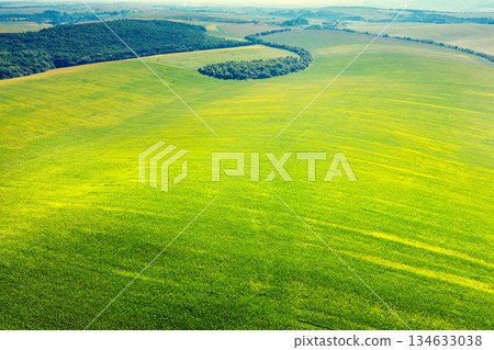 Beautiful landscape, spring nature. View from above of sunny fields on rolling hills in Tuscany, Italy Beautiful landscape, spring nature. View from above of sunny fields on rolling hills in Tuscany, Italy 134633038