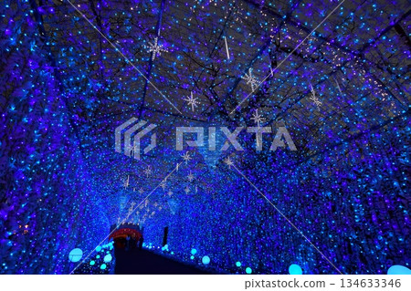 Tokinosumika illuminations (tunnel of light) near Mount Fuji 134633346