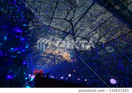 Tokinosumika illuminations (tunnel of light) near Mount Fuji Tokinosumika illuminations (tunnel of light) near Mount Fuji 134633365