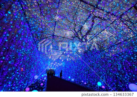 Tokinosumika illuminations (tunnel of light) near Mount Fuji 134633367