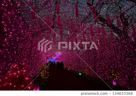 Tokinosumika illuminations (tunnel of light) near Mount Fuji 134633368
