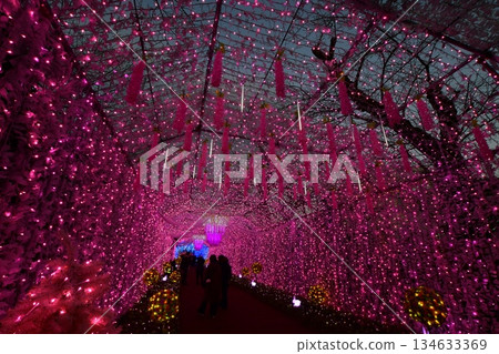 富士山附近的時之澄光（光隧道） 134633369