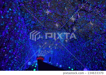 Tokinosumika illuminations (Royal Palace Tunnel) near Mount Fuji Tokinosumika illuminations (Royal Palace Tunnel) near Mount Fuji 134633370