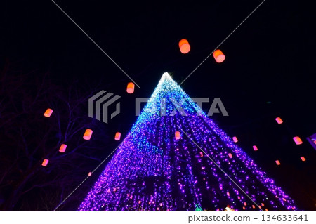 Tokinosumika illuminations (lanterns) near Mount Fuji 134633641