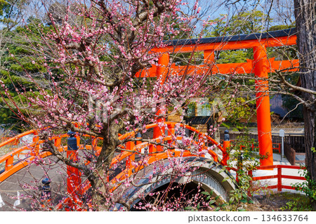 Shimogamo Shrine Korin's Plum Blossoms Shimogamo Shrine Korin's Plum Blossoms 134633764