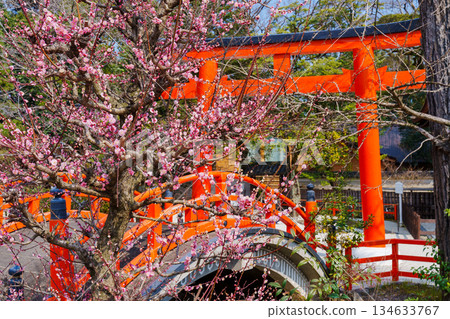 Shimogamo Shrine Korin's Plum Blossoms 134633767