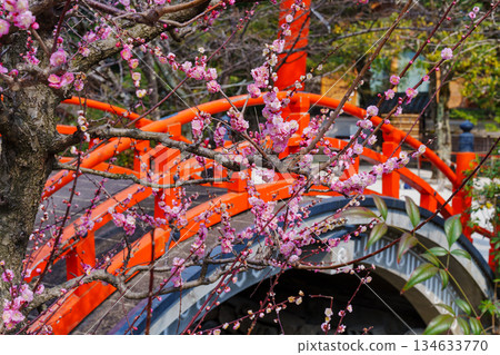 Shimogamo Shrine Korin's Plum Blossoms 134633770