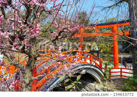Shimogamo Shrine Korin's Plum Blossoms Shimogamo Shrine Korin's Plum Blossoms 134633772